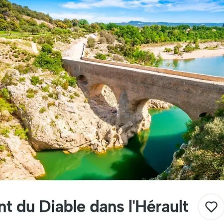 Le Des Oliviers Saint-Jean-de-Fos
